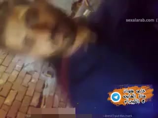 لقطة 9